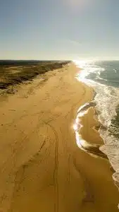 Vue aérienne d’une plage sauvage au soleil